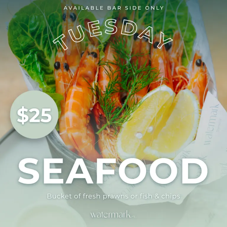 seafood tuesday – square – bar side